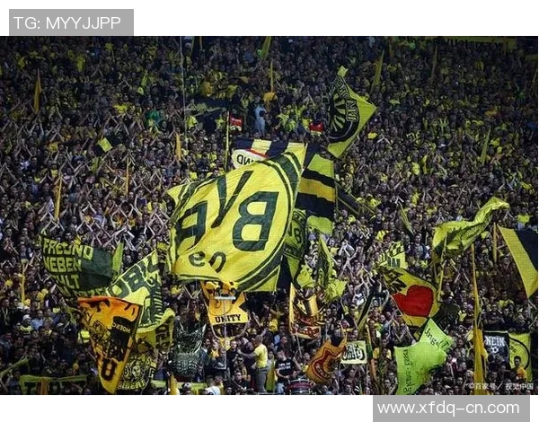 霍芬海姆主场失守，多特蒙德取得胜利！