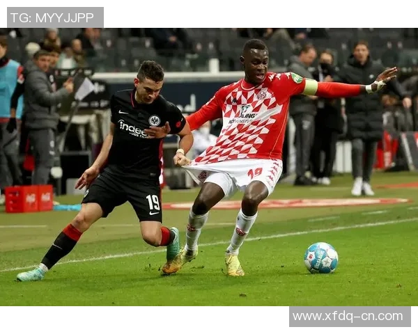 霍芬海姆：德甲赛场上的一支独特之师