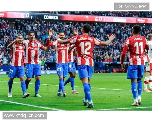 马德里竞技签约新后卫，提升球队整体实力