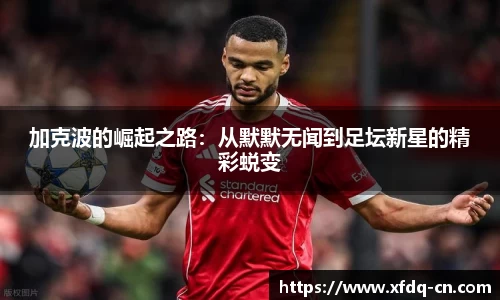 太阳成集团app下载